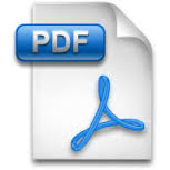 pdf blue ico