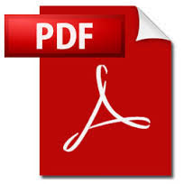 pdf red ico